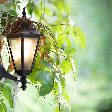 塔轮卡诺酒店 酒店 Kankainen